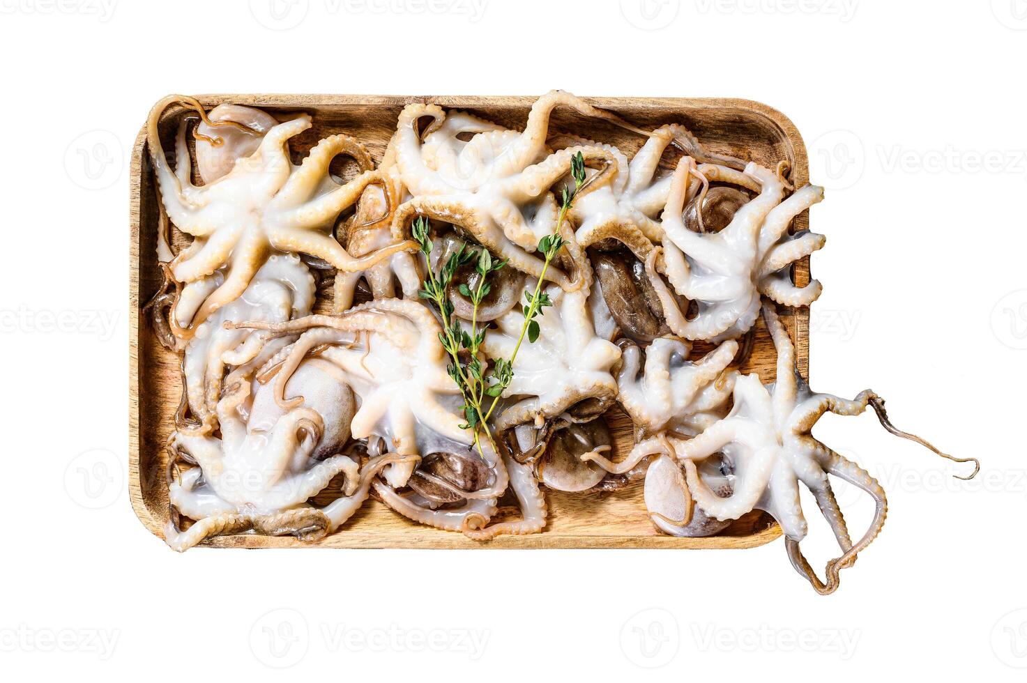Raw octopus with thyme and lemon. Organic seafood. Isolated on white background. Top view. photo