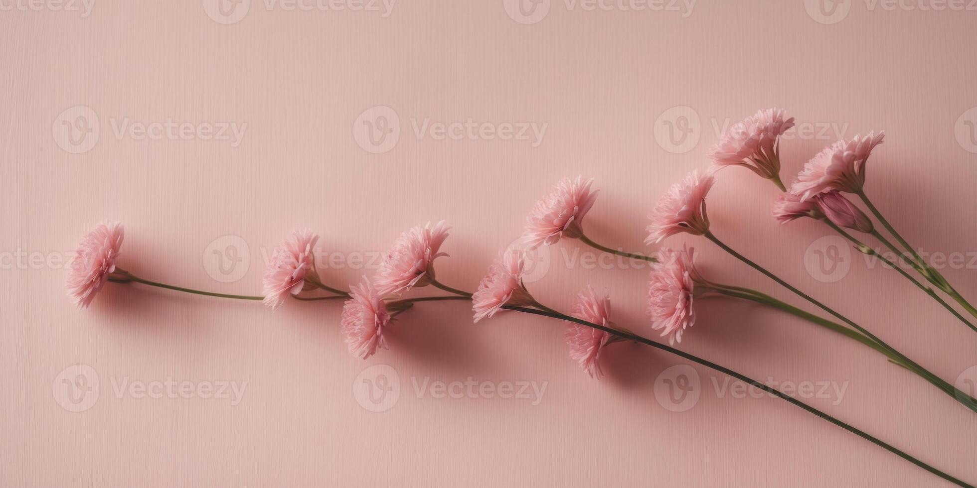 Pink Flowers Border on a Pink Background. photo