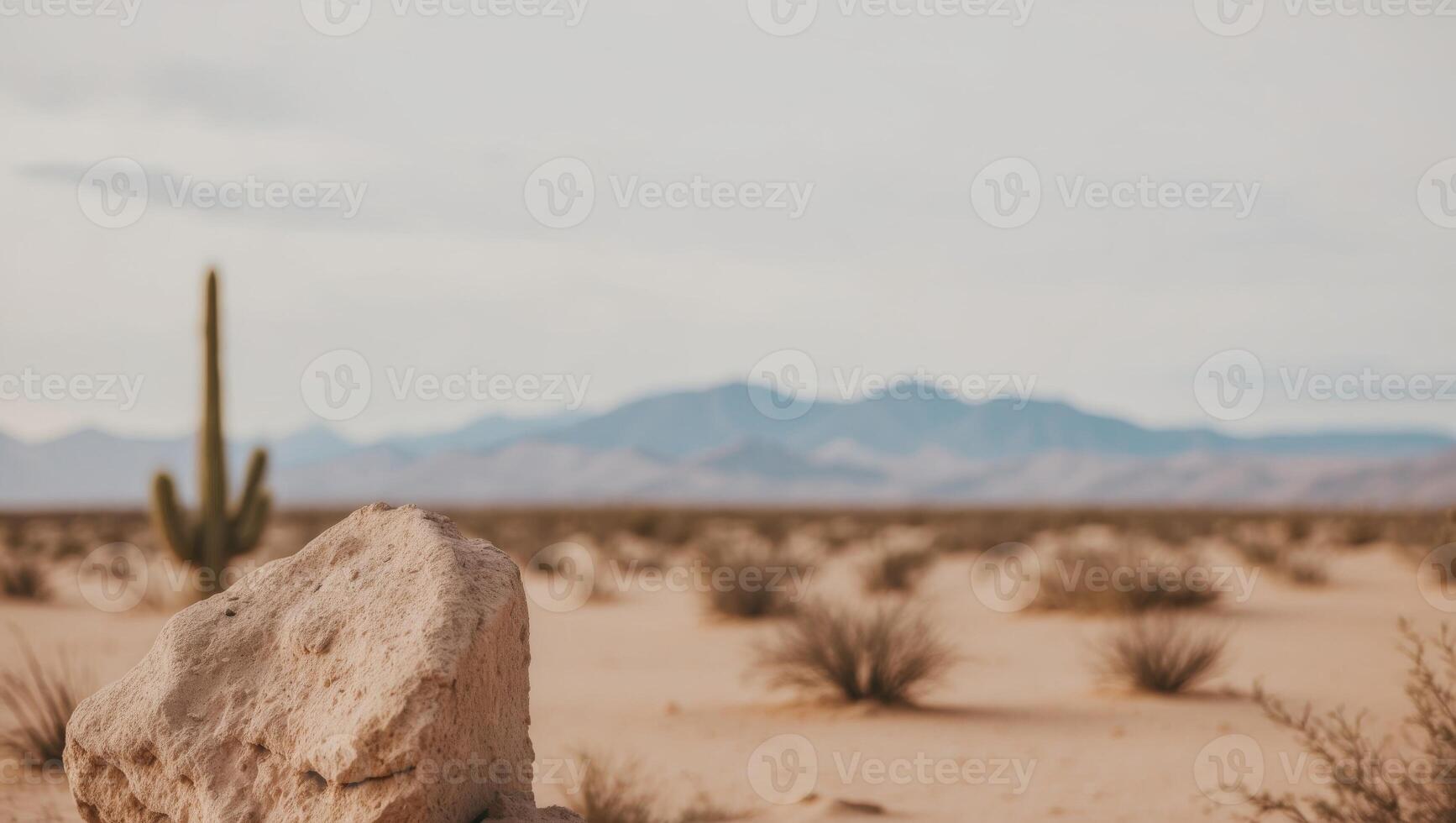 desert landscape with foreground object and background object. photo