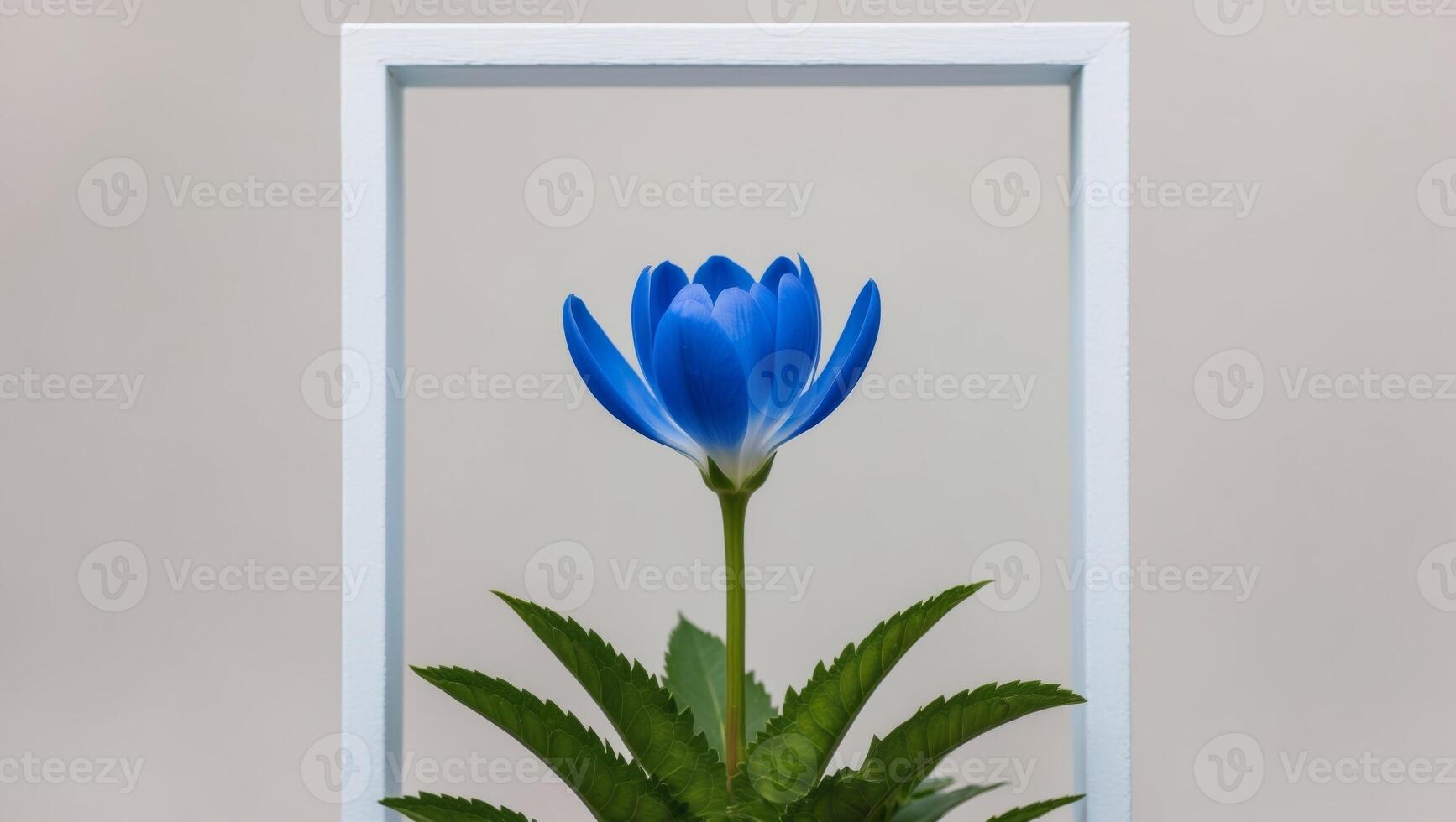 A tight shot of a blue bloom surrounded by leaves at its base. photo