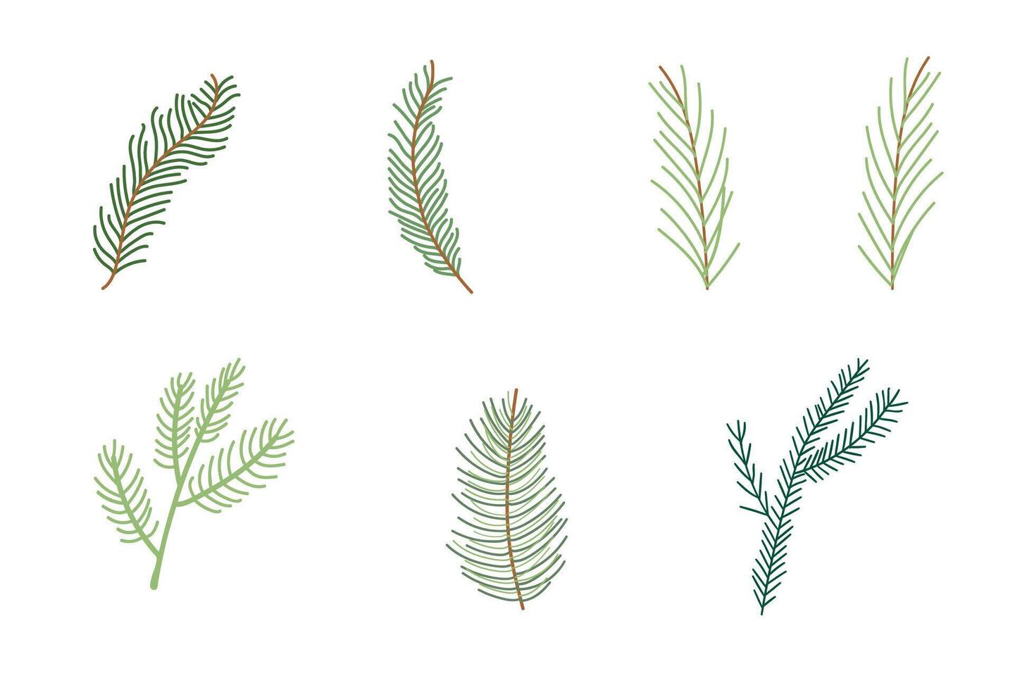 Christmas branch spruce and fir, evergreen icon, winter tree, green plant isolated on white background. vector