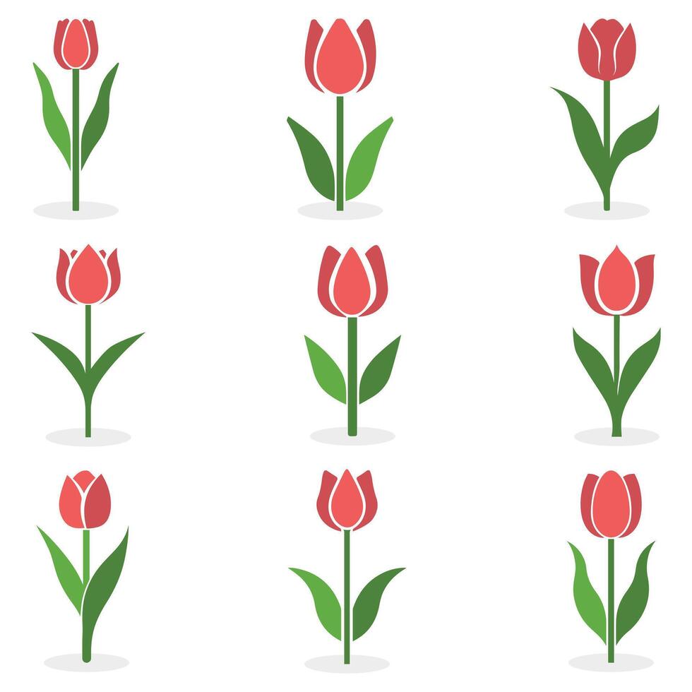 Tulip coloring icon silhouette with stem and leaves on a white background. vector