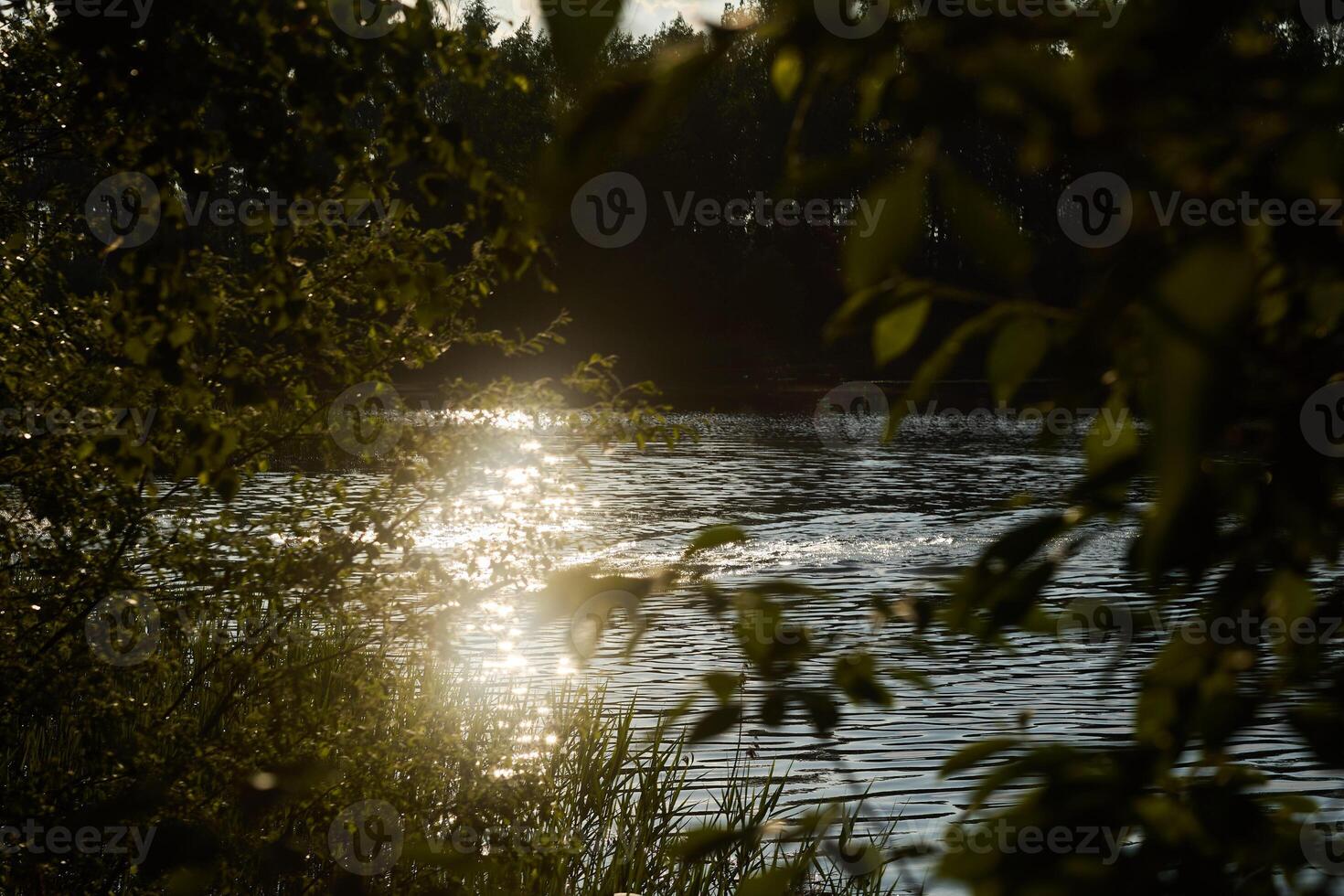 Experience the Serene Water Reflection at Sunset, Surrounded by Beautiful Nature and Serenity photo