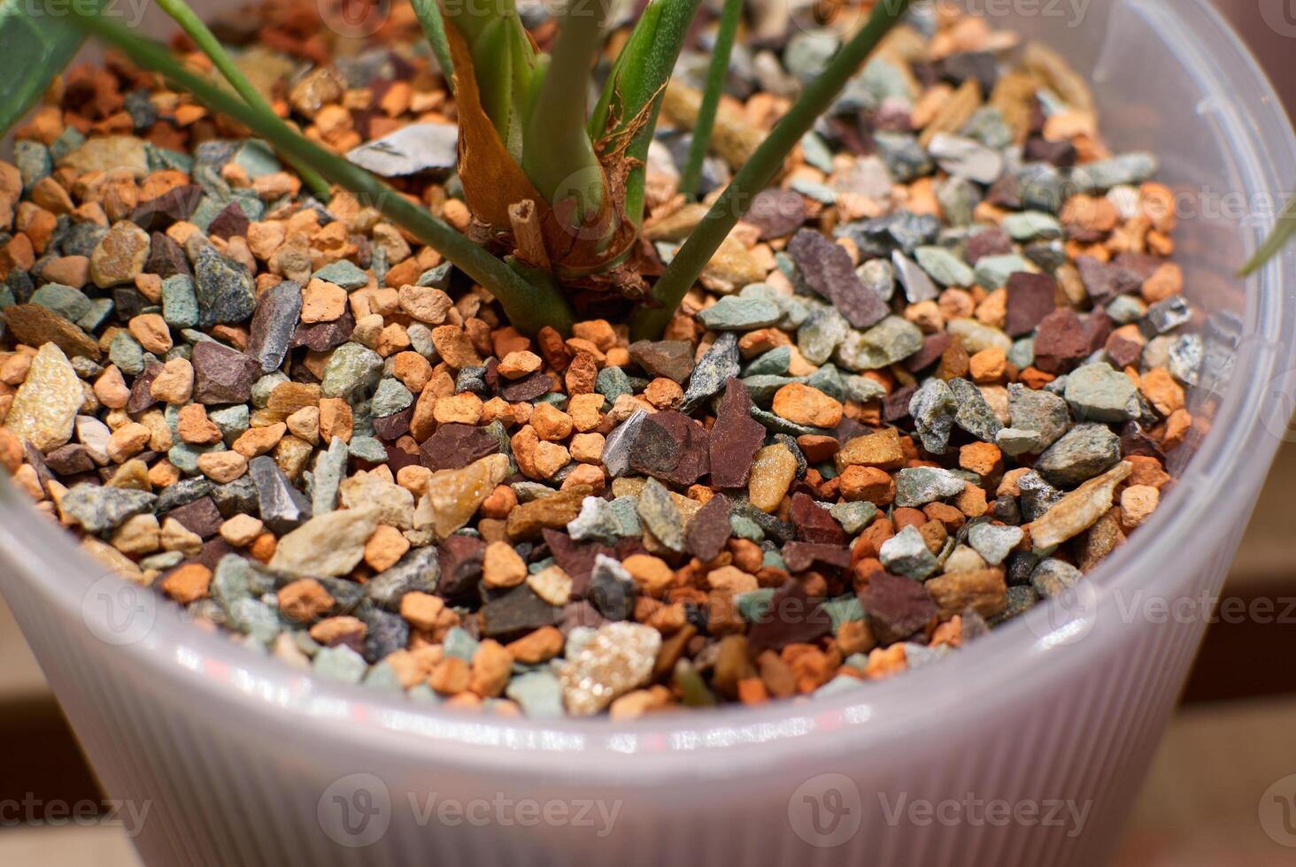 A Collection of Colorful Decorative Pebbles Arranged in a Plant Pot for Aesthetic Appeal photo