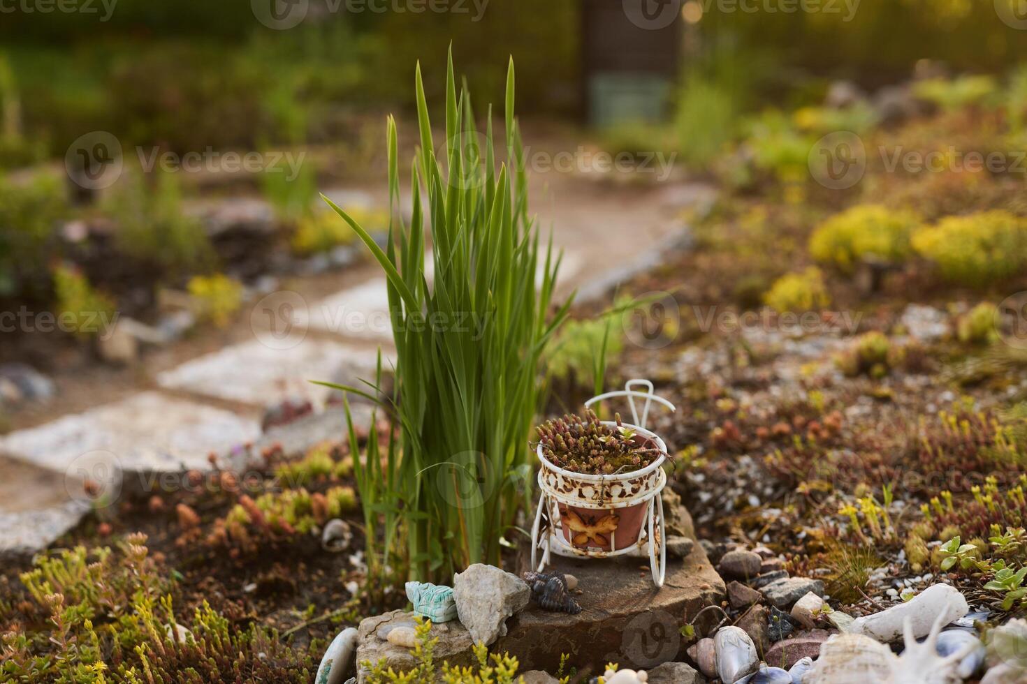 A peaceful pathway in a beautifully designed garden with lush plants and unique features photo