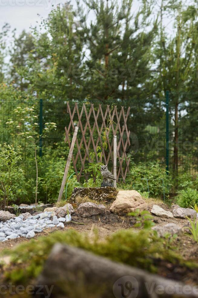 A Serene and Beautiful Garden Landscape Featuring a Decorative Trellis and Natural Elements photo