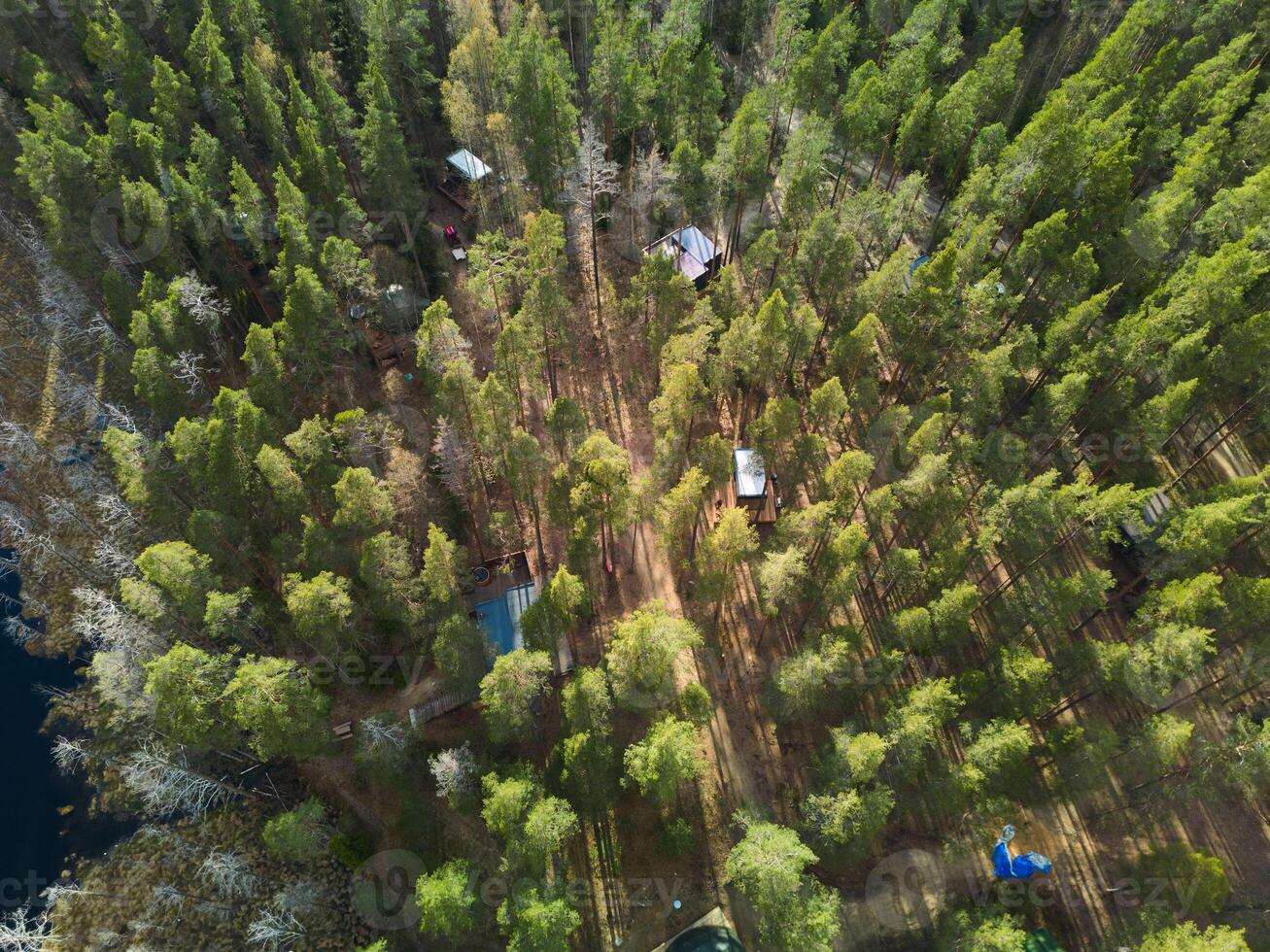 Aerial view of a dense pine forest, rustic cabins, and a nearby water body, creating serenity photo
