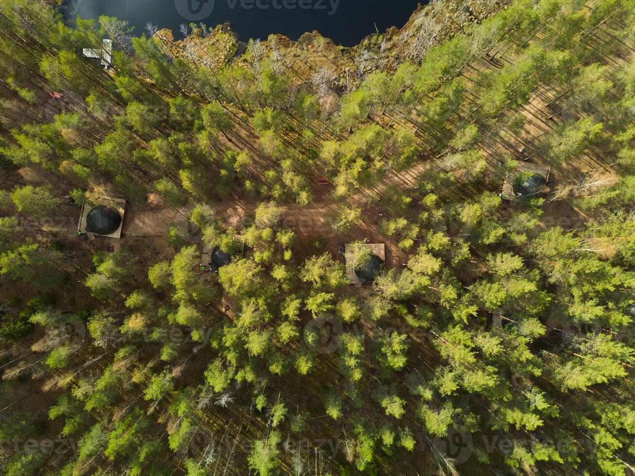 Aerial View Offering a Stunning Perspective of a Dense Forest Canopy Above Tranquil Water photo