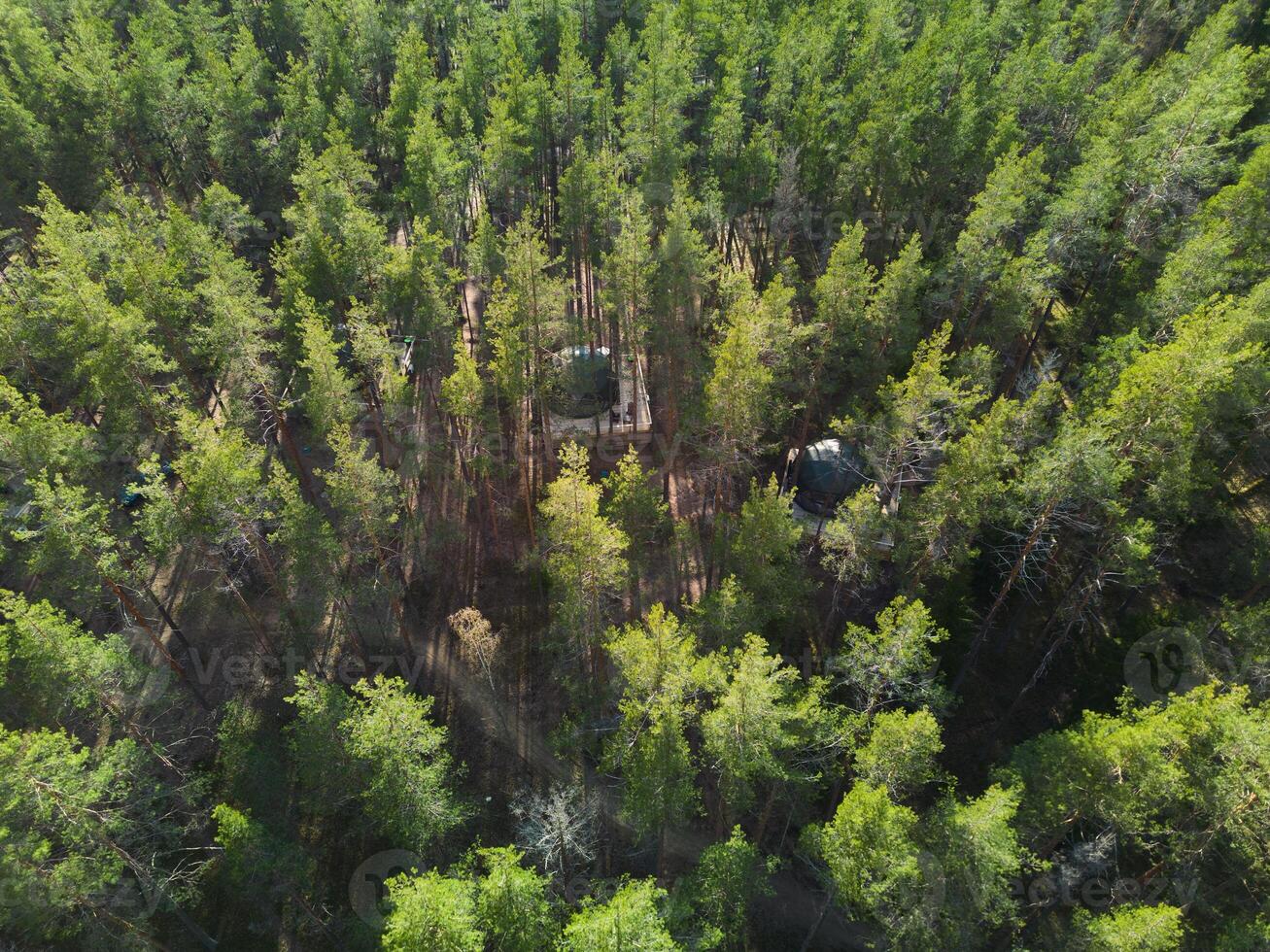 A Aerial View Showcasing a Lush Green Forest Filled with Beautiful Clearings and Open Areas photo