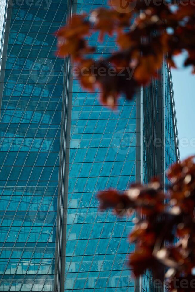 A modern skyscraper set against colorful autumn leaves, creating a vibrant urban scene photo