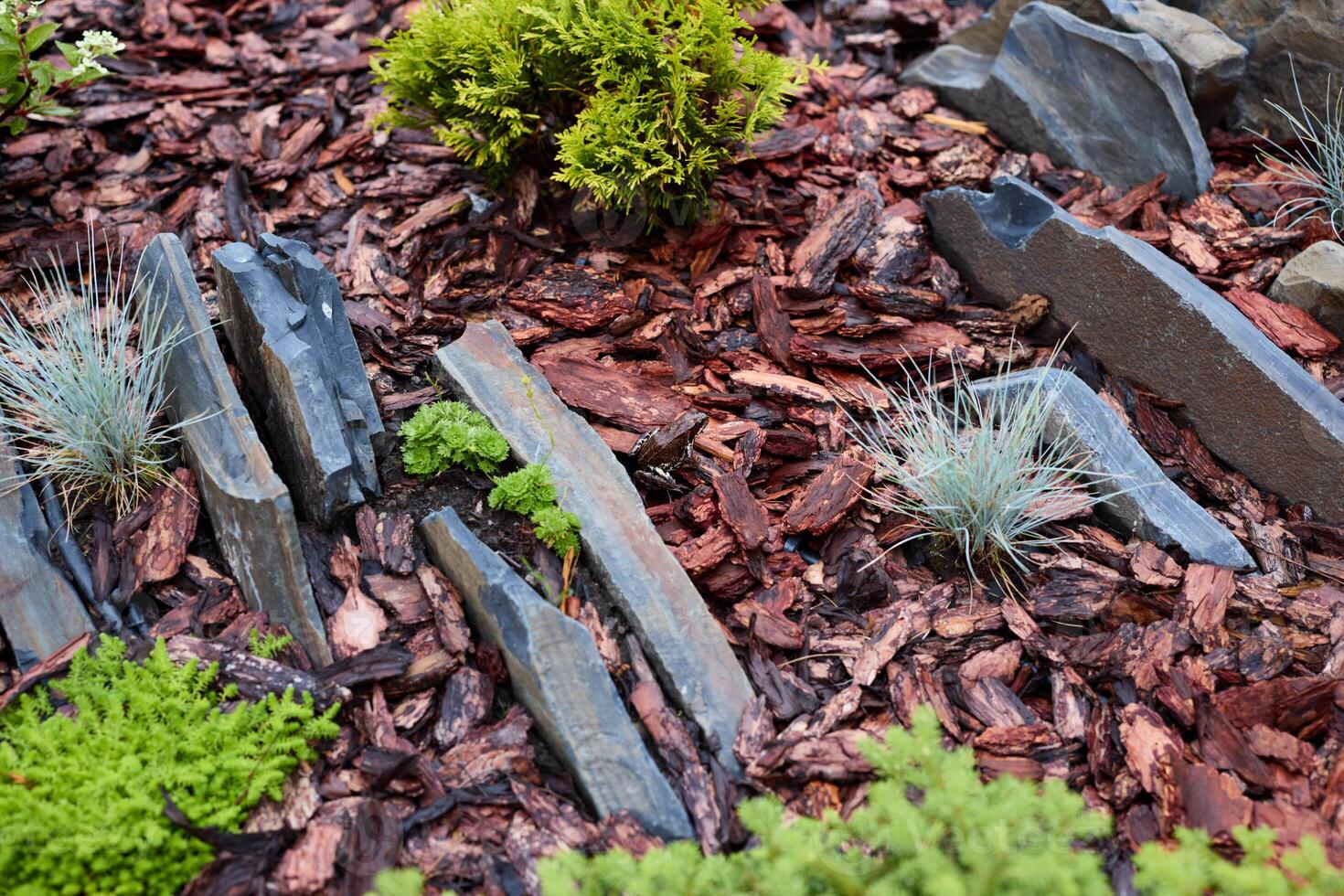 An Ornamental Garden Landscape designed beautifully with Rocks and Bark Mulch features photo