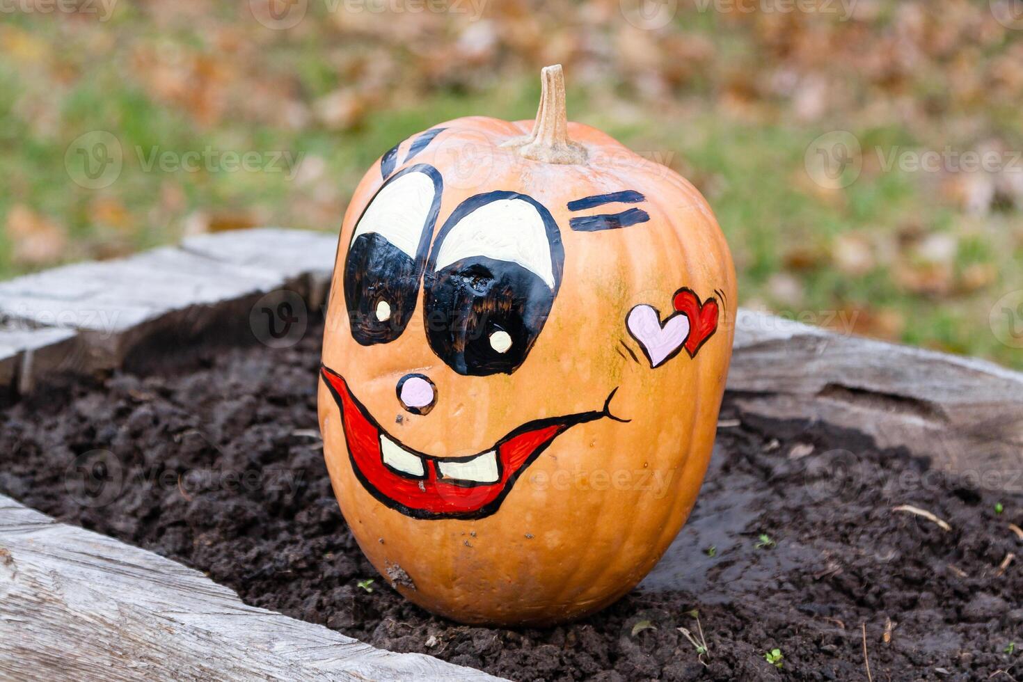 Beautiful pumpkins for halloween photo