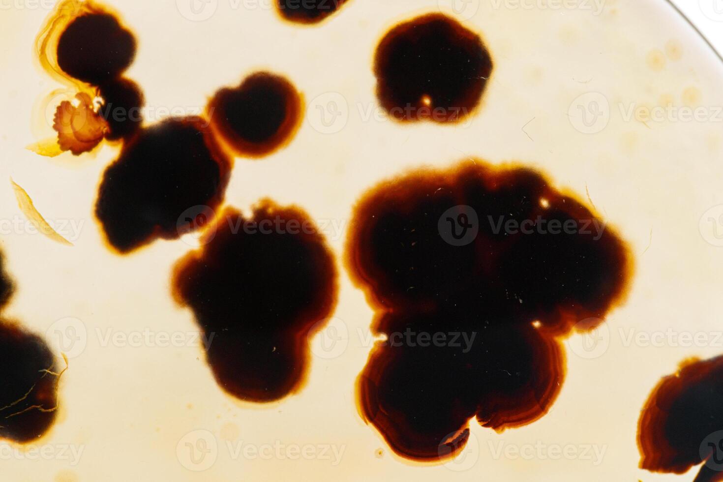 Macro mineral stone Moss Agate, Agate muschiataan white photo