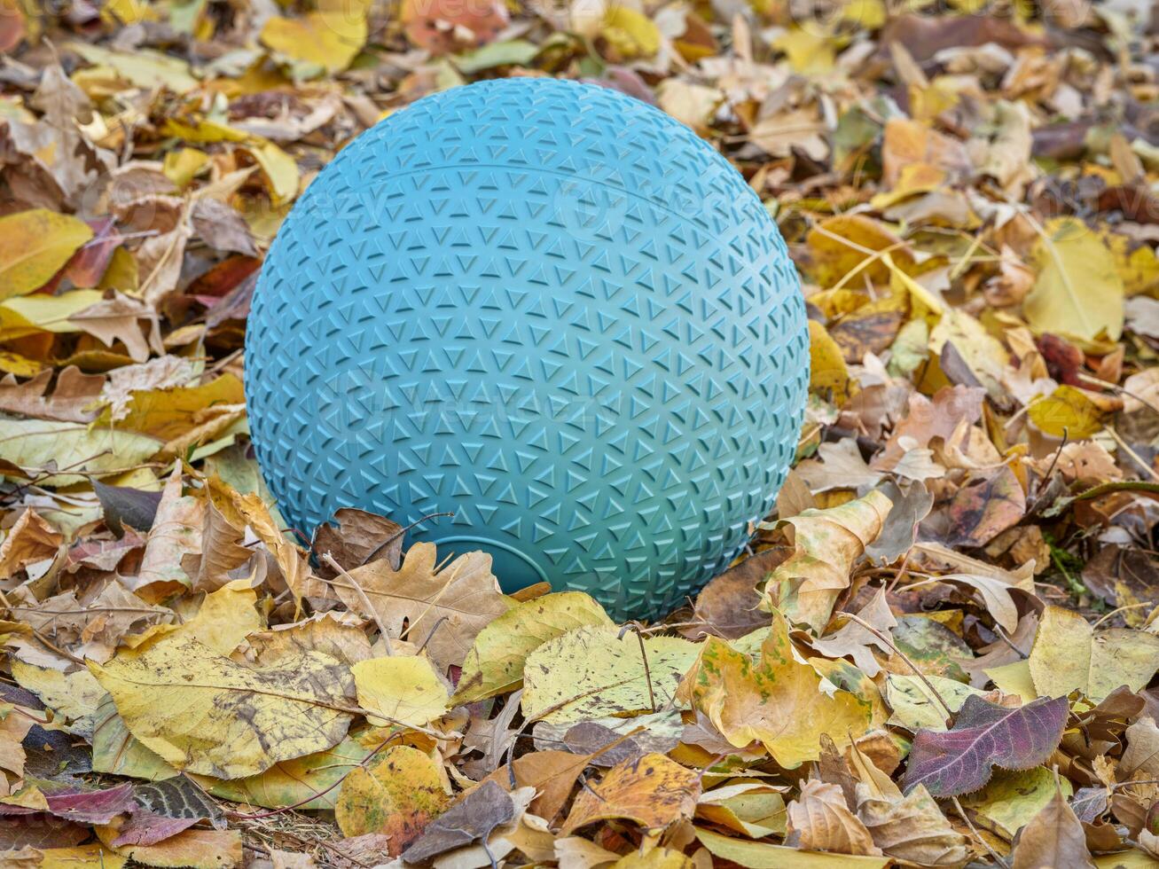 slam ball in a backyard - home gym concept photo