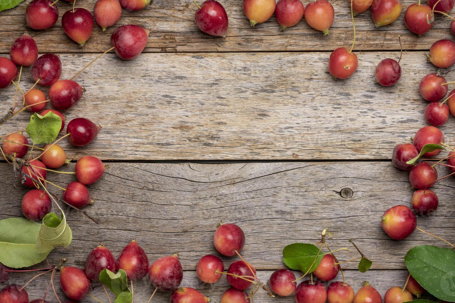 rustic wood texture with red crab apples photo