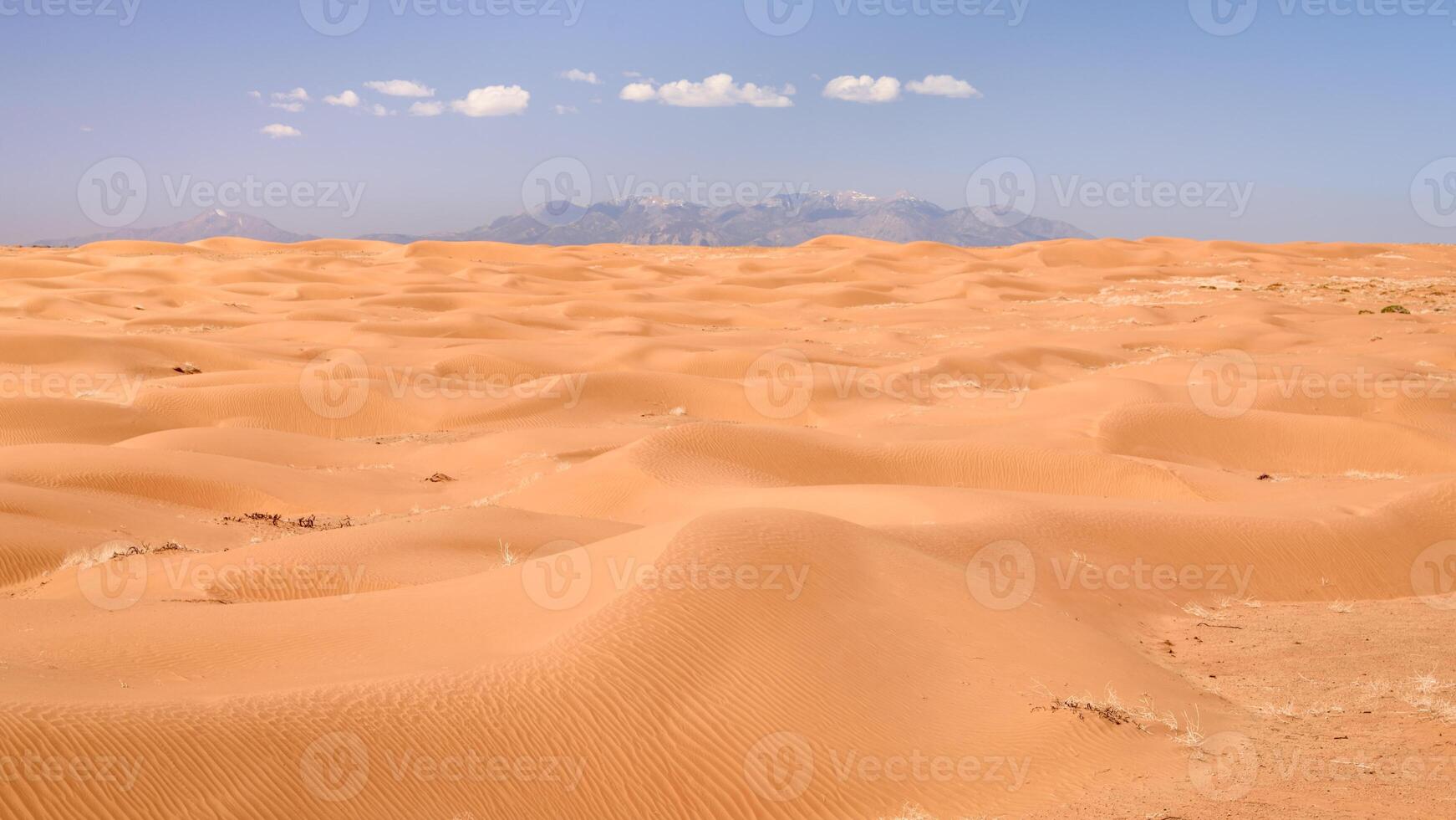 midday view of sand dunes field photo