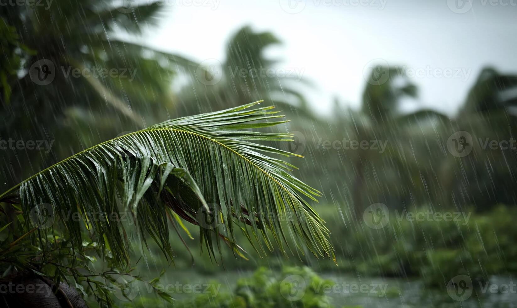 A close-up of a palm leaf during heavy rain in a lush environment. photo
