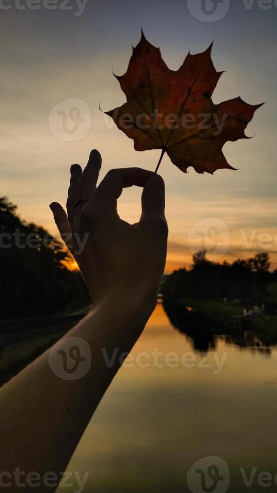 Woman holding red maple leaf during autumn in Stromovka Park. Vertical mobile photo