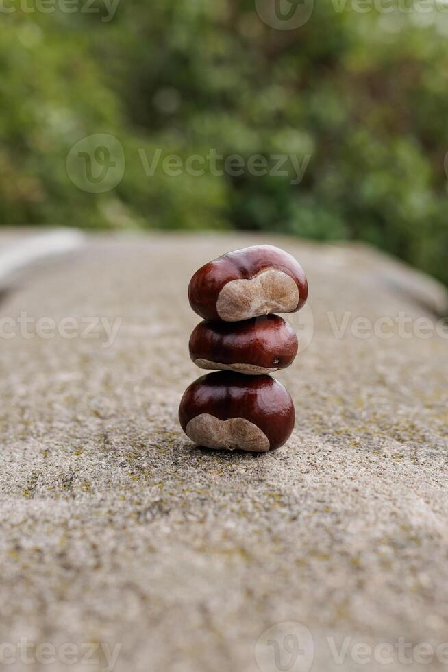 Three chestnuts balancing on top of each other on a stone in Vysehrad Prague photo