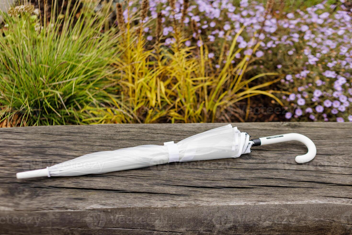 White umbrella resting on a bench in a garden Karlin, Prague photo