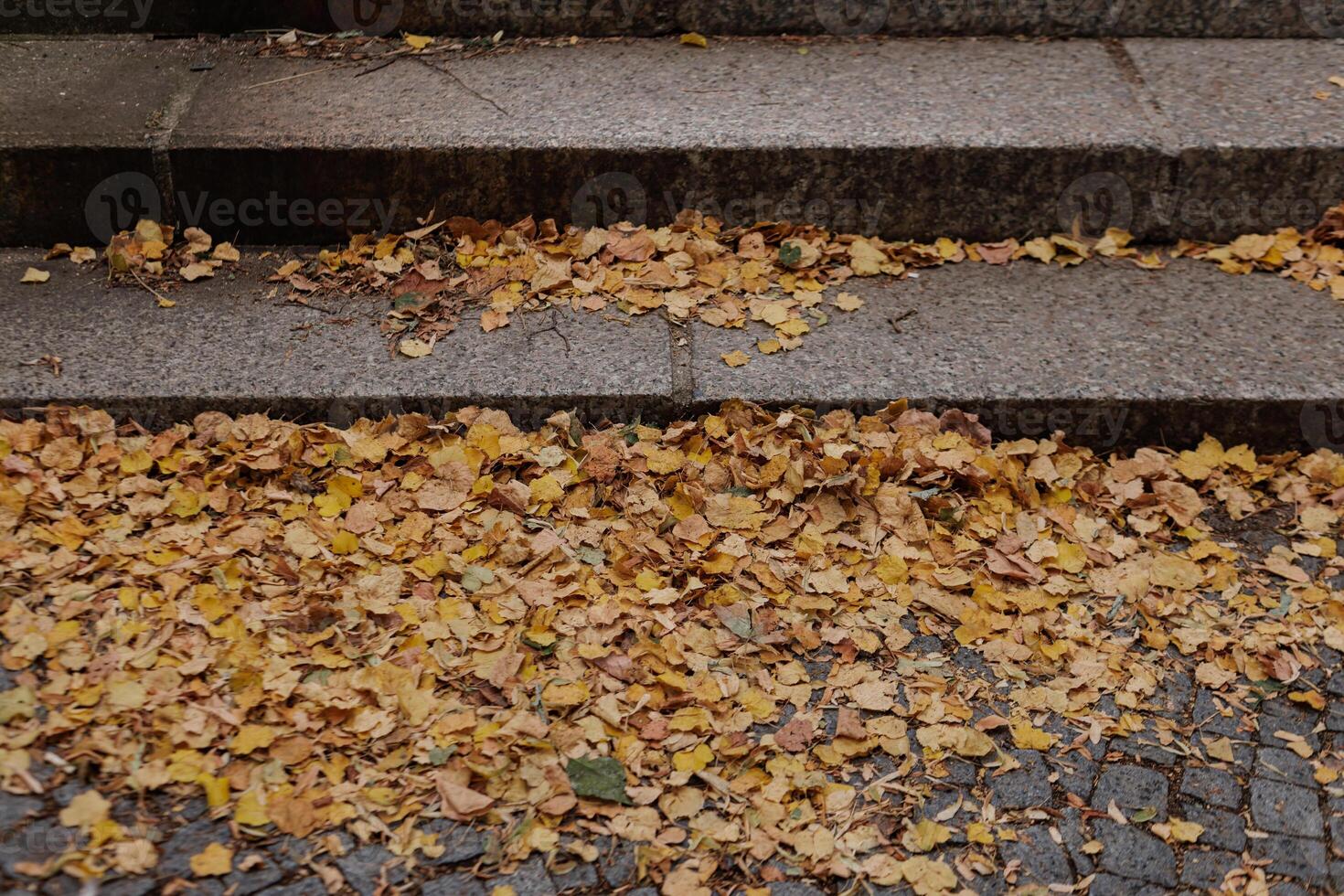 Fallen leaves gathering on sidewalk by concrete steps in Vysehrad Prague photo