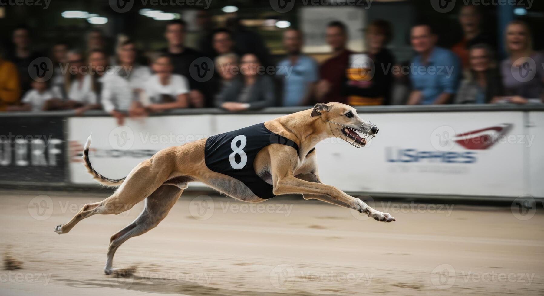 Dynamic racing scene featuring greyhound on track during competitive event photo