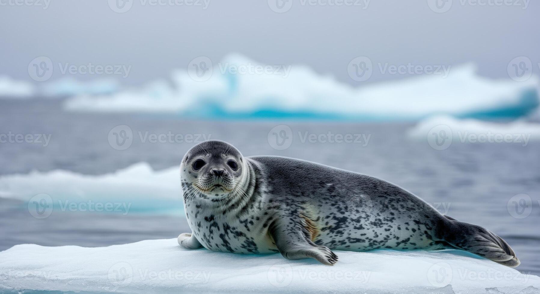 Leopard seal resting on iceberg in serene arctic waters photo