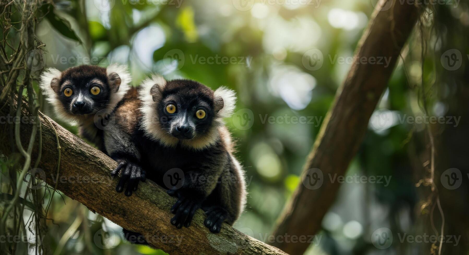 Curious lemurs in lush jungle habitat with sunlit canopy photo