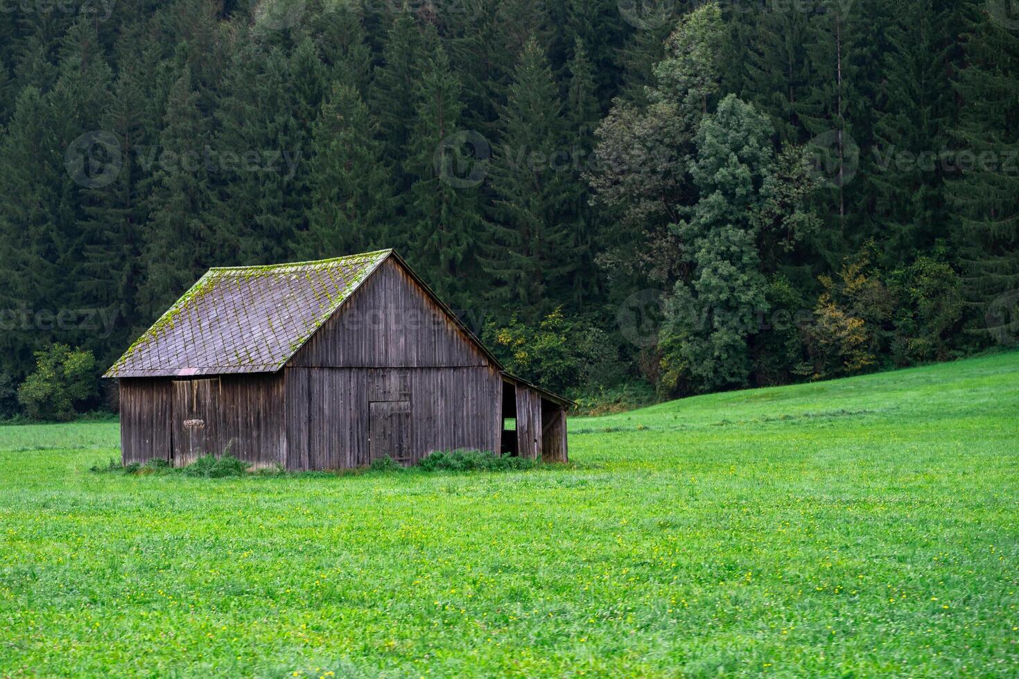 A small wooden hut in a clearing among a mountain alpine forest photo