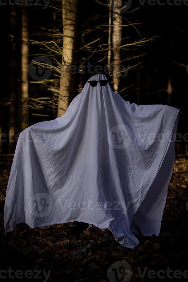 A child in a ghost costume among the trees in the forest photo