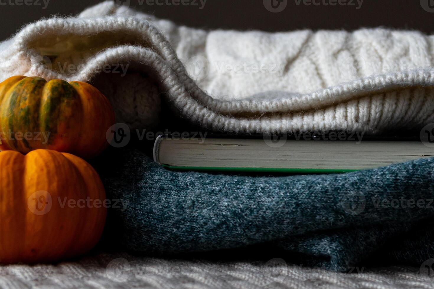 Warm knitted sweaters and an interesting book for autumn evenings photo