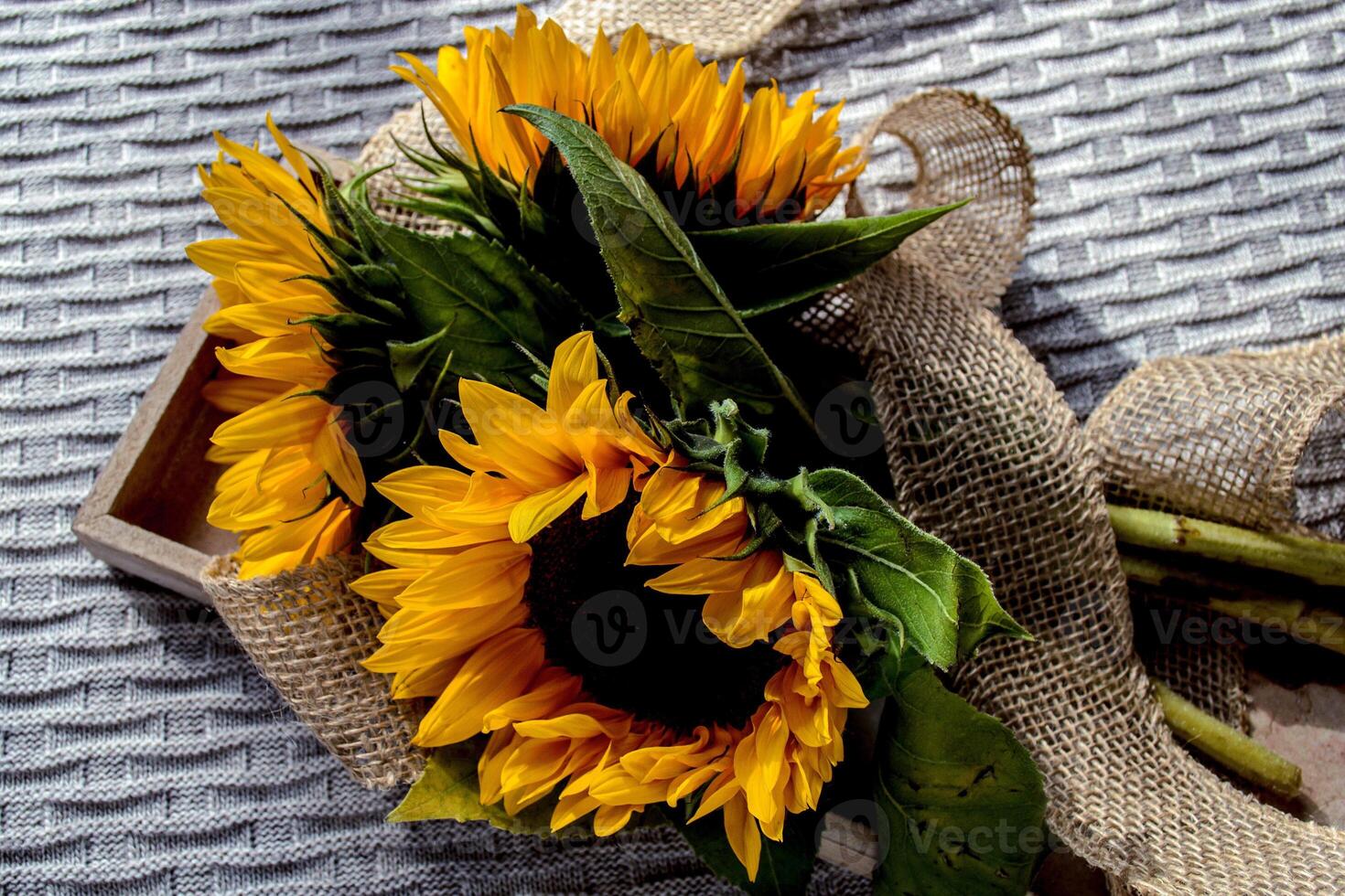 Three sunflowers in a wooden box on a knitted plaid photo