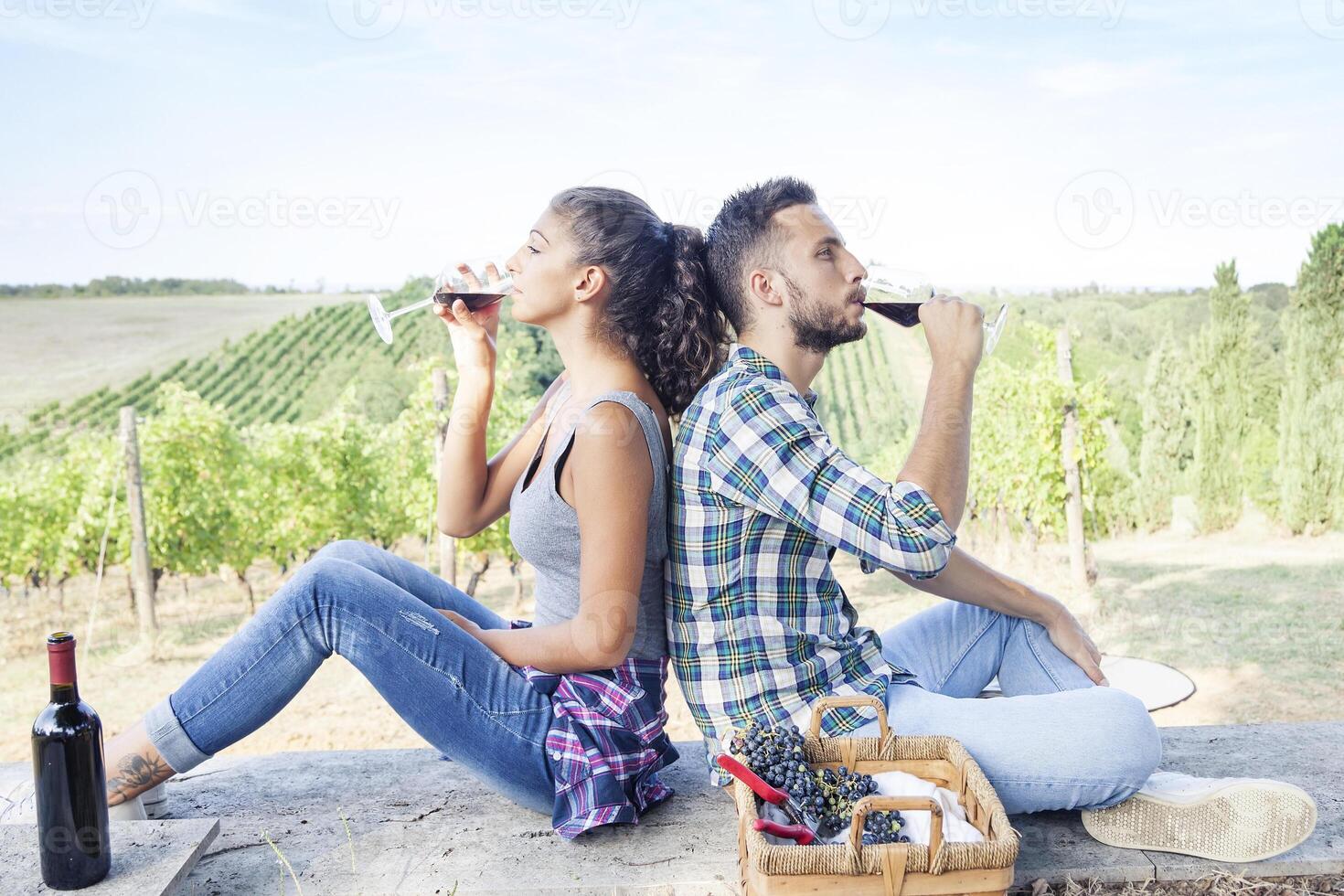 young couple toasting in a vineyard photo