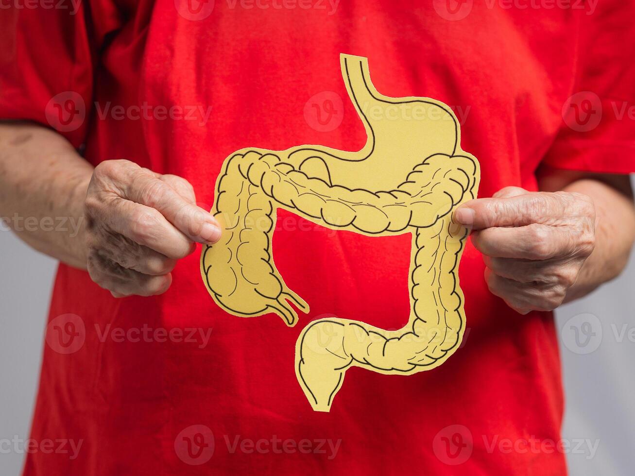 Close-up of hands old woman holding a large intestine shape made from yellow paper photo