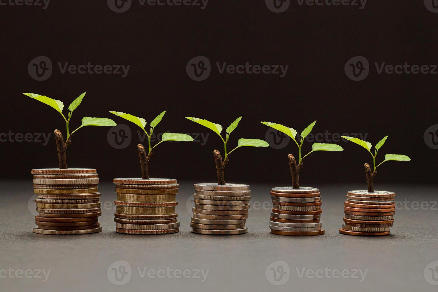 Tree growing on a pile of coins money. Business investment profit and dividend money from saving concept photo