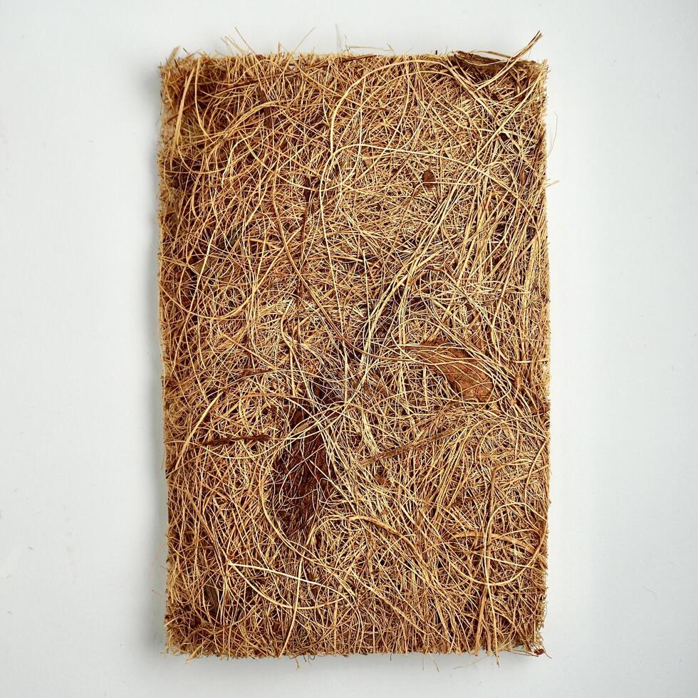 One piece of brown house cleaning scrubber tool from coconut heap material isolated on square white background from top angle view. photo