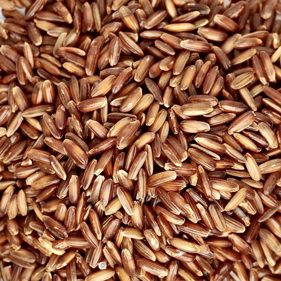 Close up pile of uncooked raw brown red rice or beras merah food ingredients isolated on square full frame background. photo