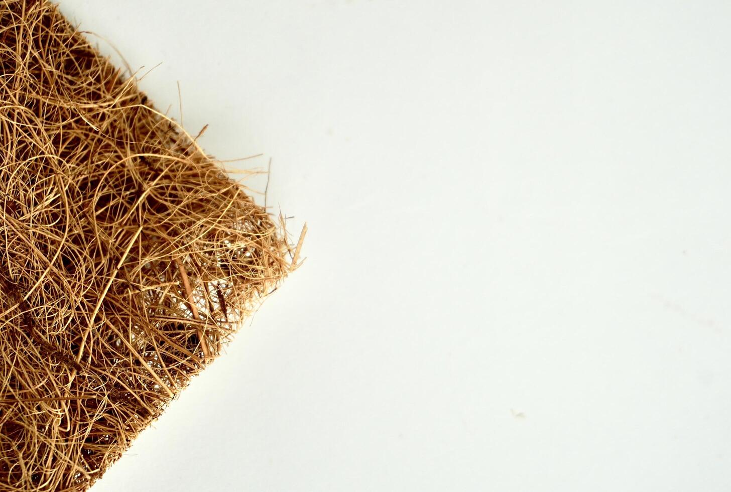 Brown scrubber tool from coconut heap textures isolated on horizontal empty copy spaced white background. photo