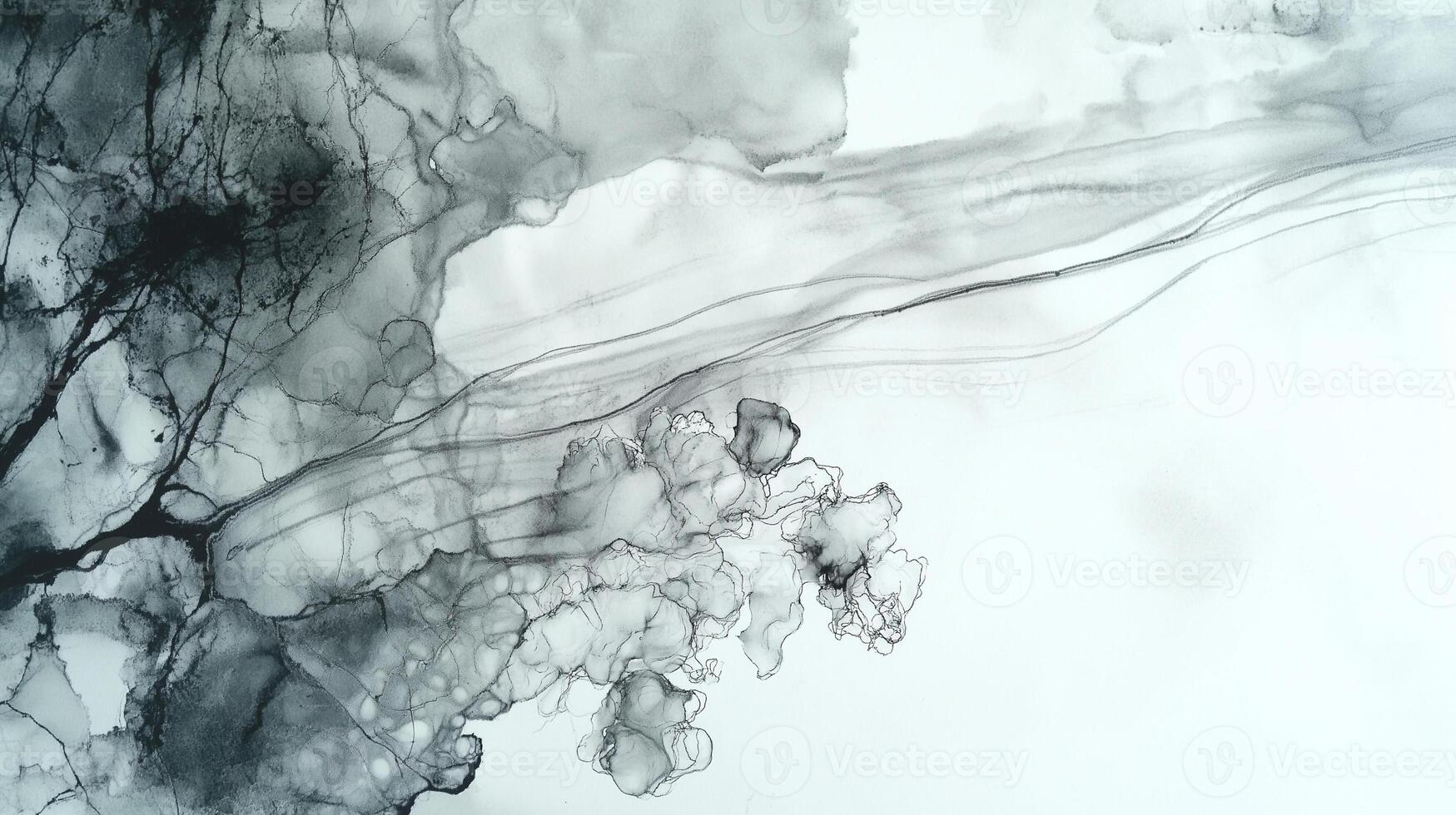 Abstract grayscale ink painting, fluid art. photo