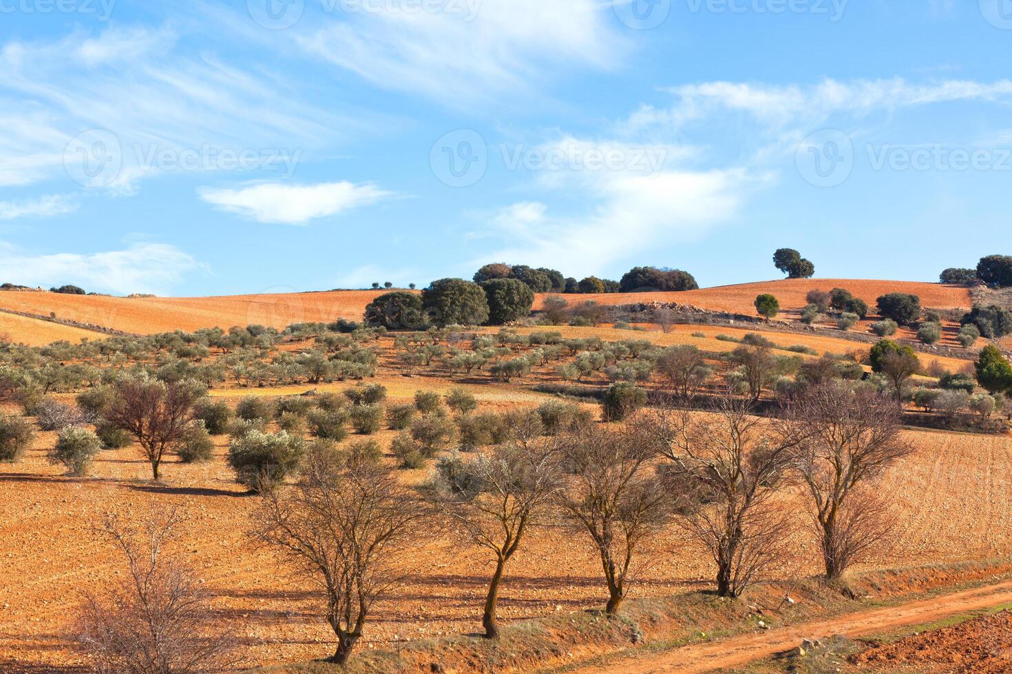 Castilla-La Mancha, Spain at winter photo