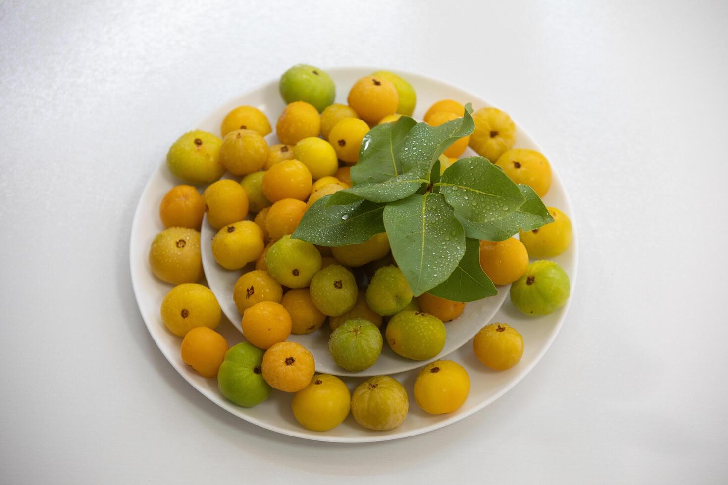 Ripe edible wild fruit from the Brazilian cerrado biome, fruit known as cagaita Stenocalyx dysentericus of the Magnoliopsida class and the Myrtaceae family. photo