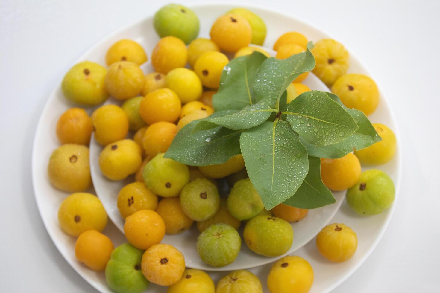 Ripe edible wild fruit from the Brazilian cerrado biome, fruit known as cagaita Stenocalyx dysentericus of the Magnoliopsida class and the Myrtaceae family. photo