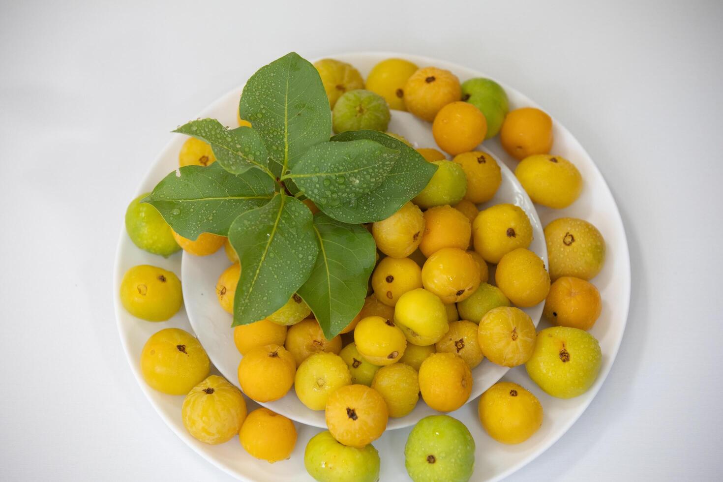 Ripe edible wild fruit from the Brazilian cerrado biome, fruit known as cagaita Stenocalyx dysentericus of the Magnoliopsida class and the Myrtaceae family. photo