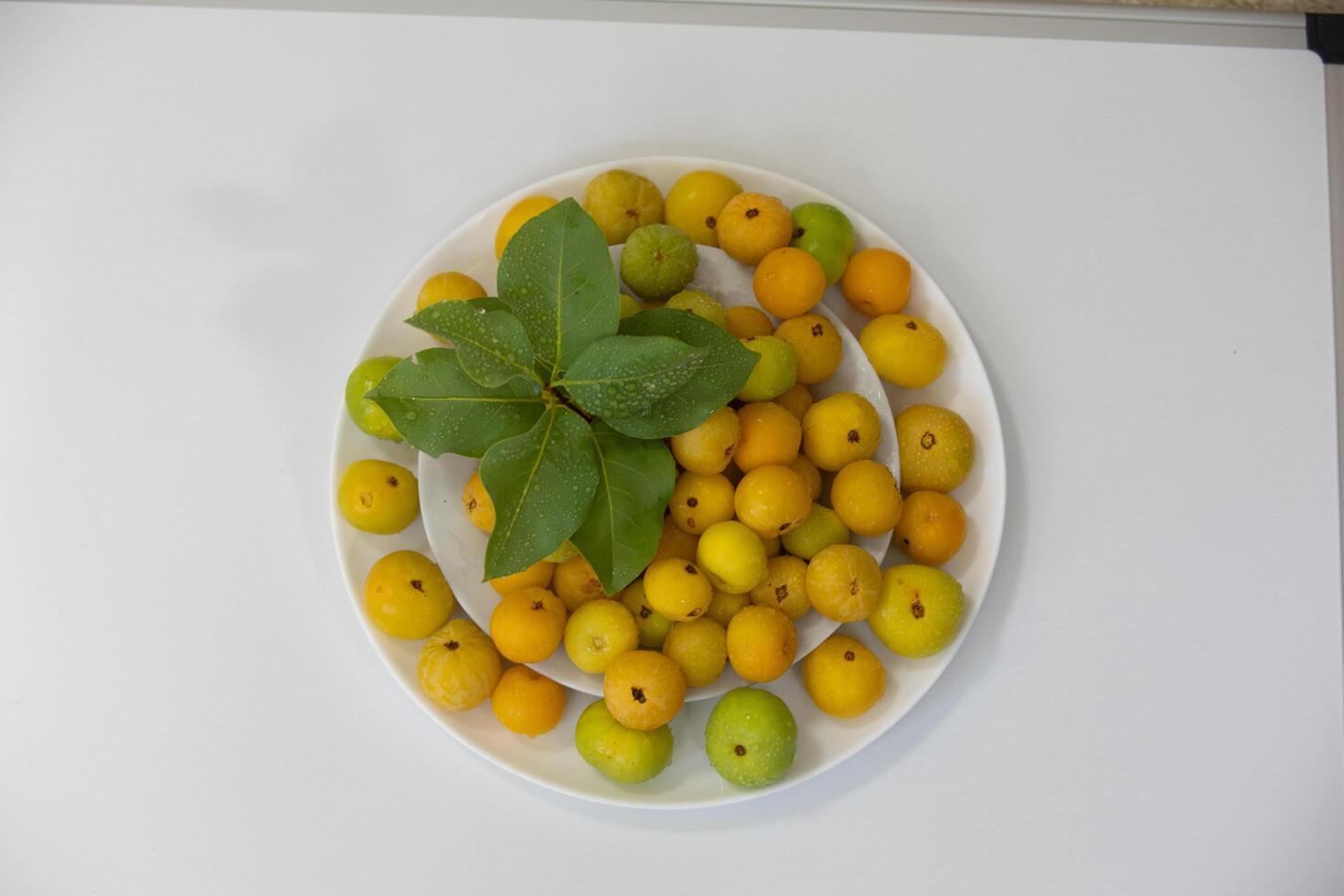 Ripe edible wild fruit from the Brazilian cerrado biome, fruit known as cagaita Stenocalyx dysentericus of the Magnoliopsida class and the Myrtaceae family. photo