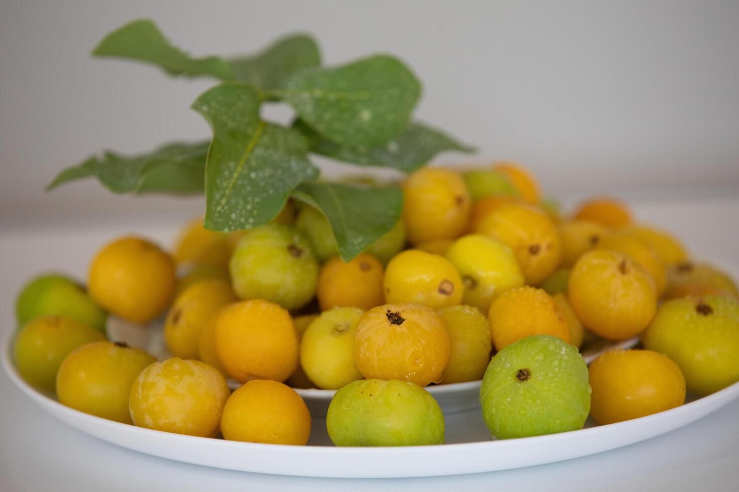 Ripe edible wild fruit from the Brazilian cerrado biome, fruit known as cagaita Stenocalyx dysentericus of the Magnoliopsida class and the Myrtaceae family. photo