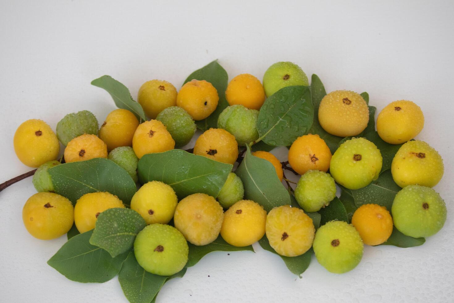 Ripe edible wild fruit from the Brazilian cerrado biome, fruit known as cagaita Stenocalyx dysentericus of the Magnoliopsida class and the Myrtaceae family. photo
