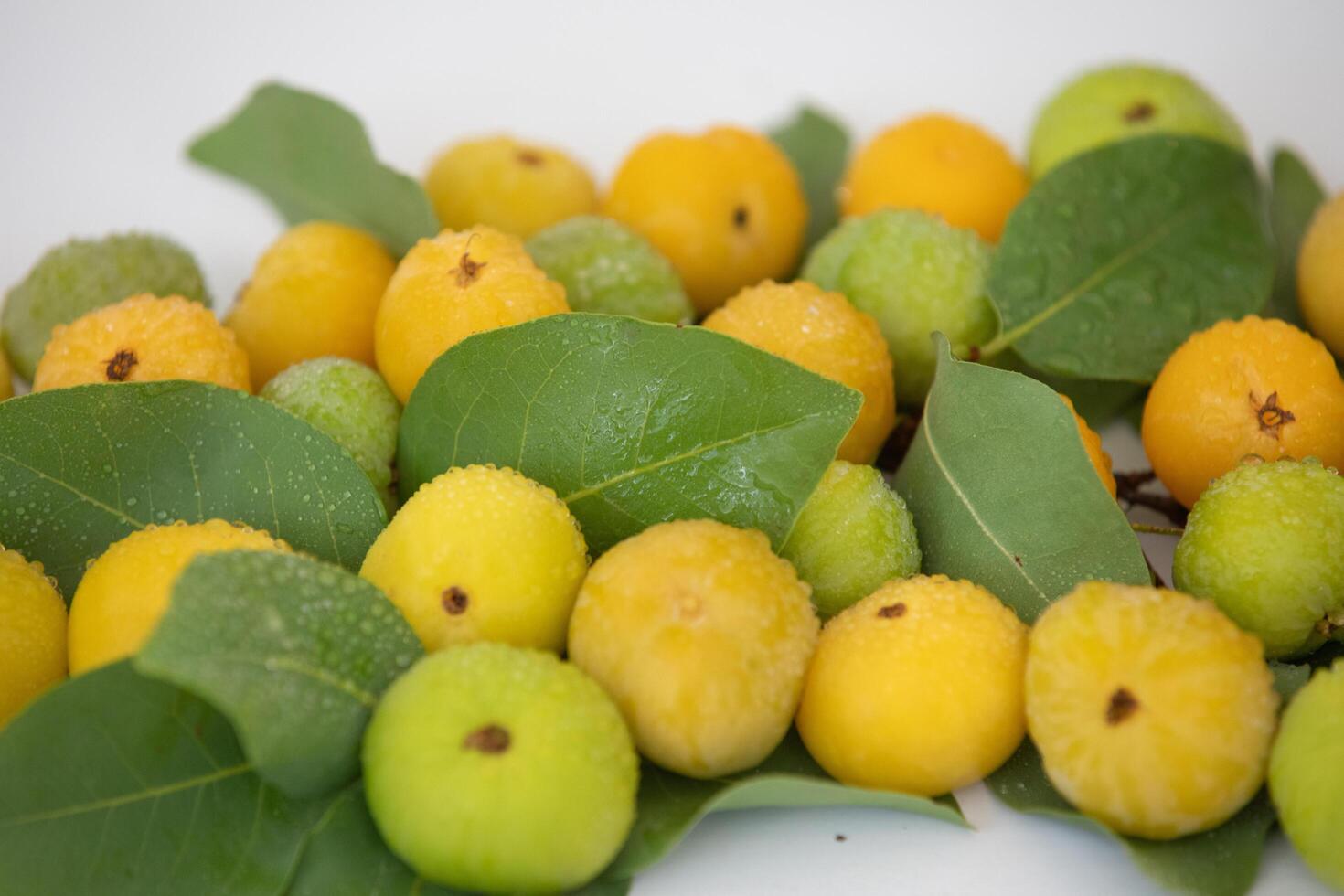 Ripe edible wild fruit from the Brazilian cerrado biome, fruit known as cagaita Stenocalyx dysentericus of the Magnoliopsida class and the Myrtaceae family. photo