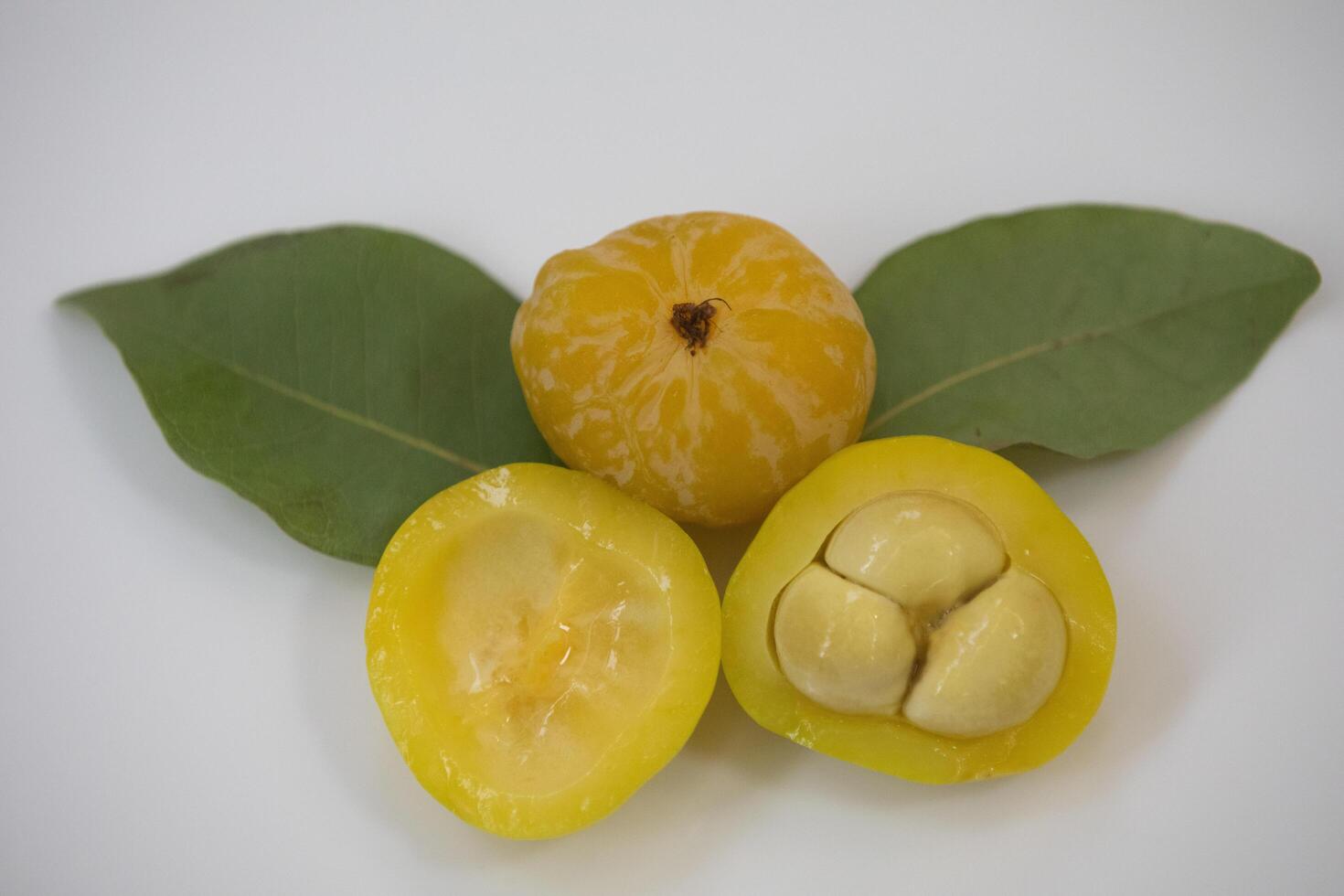 Ripe edible wild fruit from the Brazilian cerrado biome, fruit known as cagaita Stenocalyx dysentericus of the Magnoliopsida class and the Myrtaceae family. photo