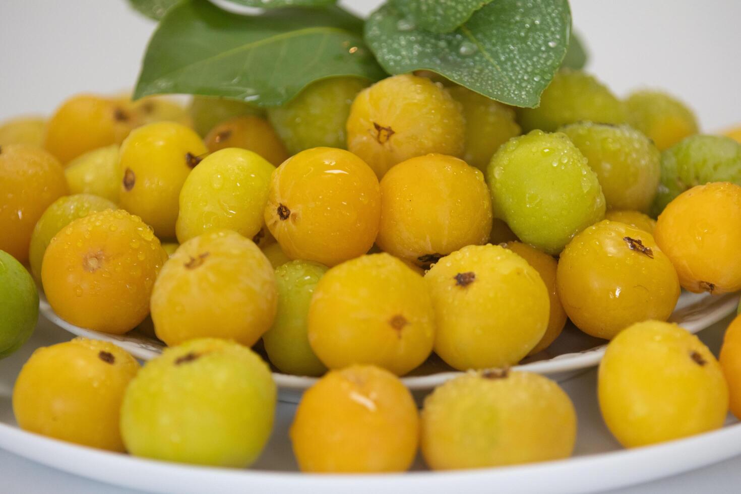 Ripe edible wild fruit from the Brazilian cerrado biome, fruit known as cagaita Stenocalyx dysentericus of the Magnoliopsida class and the Myrtaceae family. photo