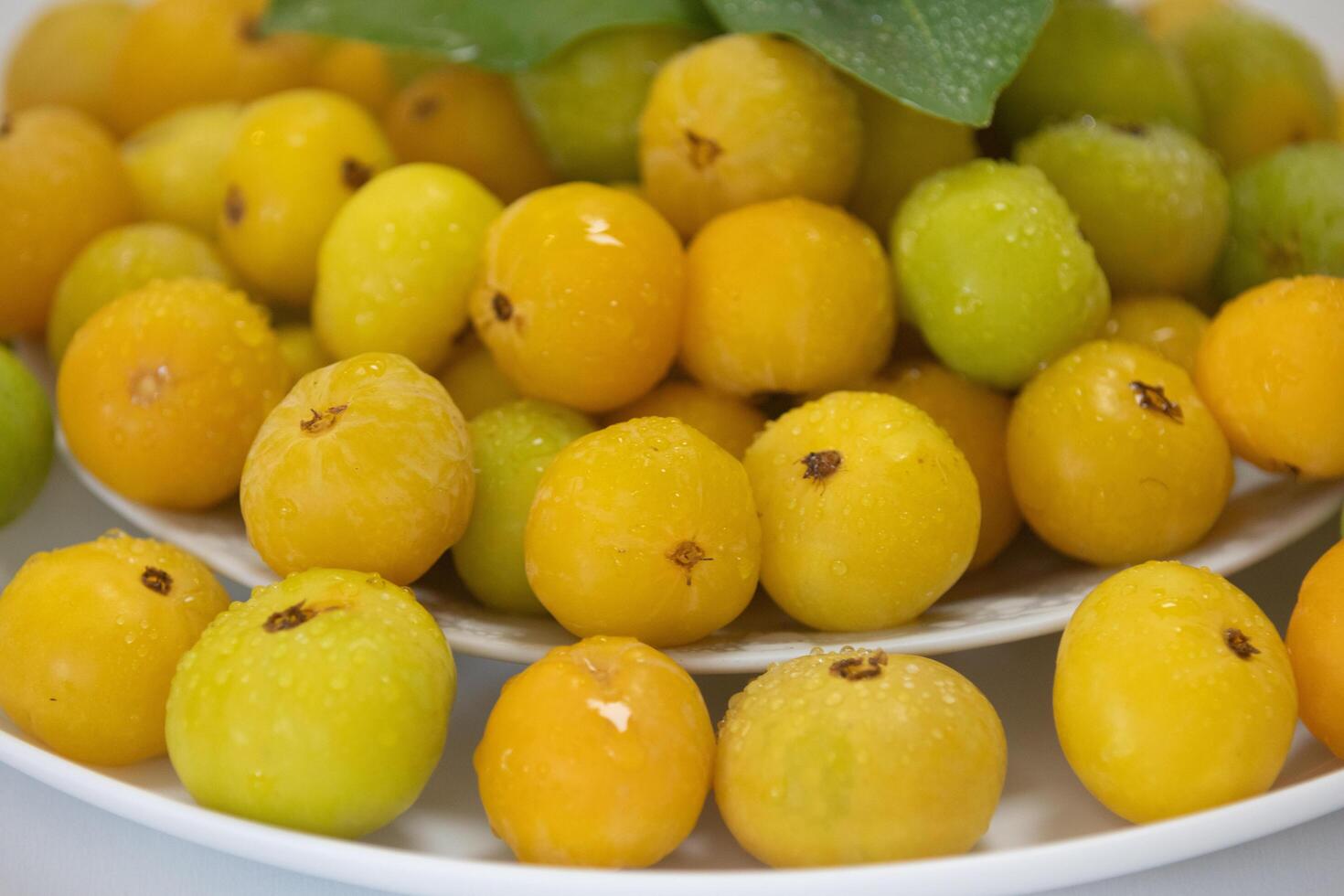 Ripe edible wild fruit from the Brazilian cerrado biome, fruit known as cagaita Stenocalyx dysentericus of the Magnoliopsida class and the Myrtaceae family. photo